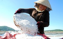 Công bố nhãn hiệu muối Sa Huỳnh