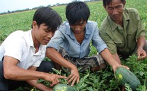 Mở lối thoát nghèo cho thanh niên