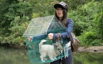 Xuân Nghi về nước đóng phim