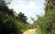 Trekking Tam Đảo mùa thu