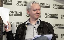 "Cha đẻ" WikiLeaks tranh cử một ghế Thượng viện Úc