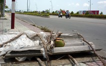 Ống kính bạn đọc