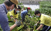 Chủ nhật xanh 100: chung tay vì nguồn nước thành phố