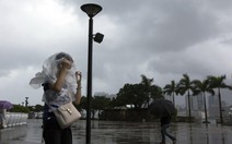 Bão Utor đánh chìm tàu chở hàng ở Hong Kong