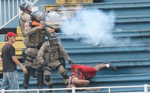 Brazil quyết chống bạo lực sân cỏ