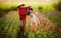 Cuốn sổ chi tiêu ngày tết của mẹ