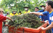 Năm thanh niên tình nguyện 2014