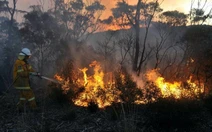 Úc trải qua năm nóng nhất trong lịch sử