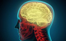 40 phút chỉ mô phỏng được 1 giây của não người