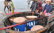 Ngư dân ven biển Bạc Liêu trúng đậm vụ ruốc đầu năm