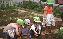 Không dạy thêm ngoại ngữ cho trẻ trong trường mầm non