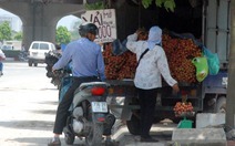 Trái cây Hà Nội vào mùa... rớt giá