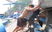 Quảng Ninh căng mình chống bão