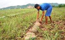 Nước lũ rút đến đâu dân Lạng Sơn khóc đến đó