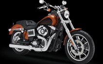 Harley triệu hồi 3.361 môtô FXDL Dyna Low Ride