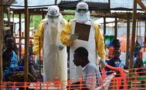 Nguy cơ thiếu lương thực tại các nước bị dịch Ebola