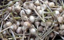 ​Những loại thực phẩm giảm bệnh