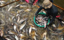 Đề xuất ưu đãi hơn cho nông nghiệp, nông thôn