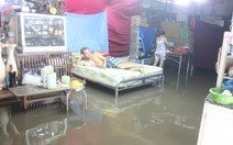 Nước tràn bờ kênh, dân Thanh Đa dầm mình tát nước