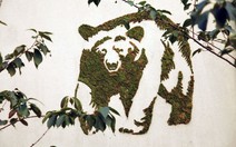 Nghệ thuật đường phố "xanh"