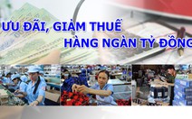 Chính sách thuế phù hợp, dân mới yên tâm làm