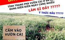 ​“Câu like”, đúng - sai mặc kệ!?