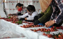 ​Thúc đẩy công nghiệp chế biến nông sản
