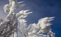 "Tuyệt tác" sau bão tuyết ​Slovenia