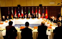 ​Việt Nam gấp rút hoàn tất đàm phán TPP