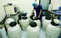 ​Phụ nữ đơn thân sinh con với tinh trùng từ ngân hàng