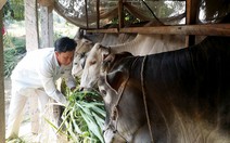 Quyết chí làm giàu