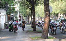 ​Ngầm hóa cáp tại nhiều tuyến đường trung tâm thành phố