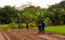 “Cháu thích đánh lộn”