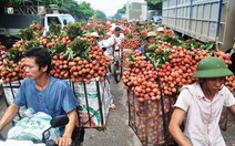 ​Đề nghị hỗ trợ cước phí xuất khẩu vải thiều sang Pháp