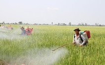 ​Nông dân thuê... hợp tác xã làm ruộng