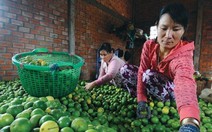 Thực phẩm, trái cây giải nhiệt  đắt hàng