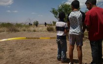 Mexico: Chơi bắt cóc, 5 thiếu niên tra tấn, giết bé 6 tuổi