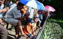 Lý do của con...