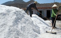 ​Muối mất giá, đời sống diêm dân Phú Yên khó khăn