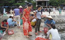 ​Cù Lao Chàm - hòn đảo nói "không" với túi ni lông