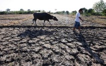 Lo ngại El Nino ảnh hưởng vụ mùa  Đông Nam Á