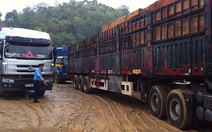 Ổ ạt mua xe đầu kéo để không chở quá tải