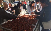 Hào hứng với trái vải VN tại Úc