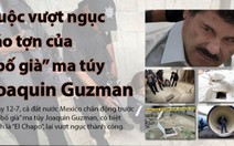 Infographic: Trùm ma túy Joaquin Guzman và vụ vượt ngục táo tợn