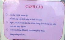 Ăn cắp: Từ chuyện cá nhân tới nỗi buồn quốc thể