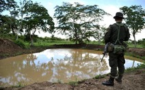 ​Colombia: chia đất cho dân nghèo