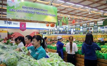 Trồng 20ha  rau muống nước VietGAP