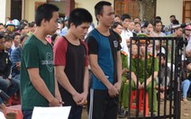 Nhóm cắt trộm dây tiêu của nông dân lãnh án