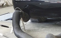 Anh, Pháp rà soát gian lận khí thải xe hơi