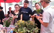 Điểm son ở chợ phiên thanh niên